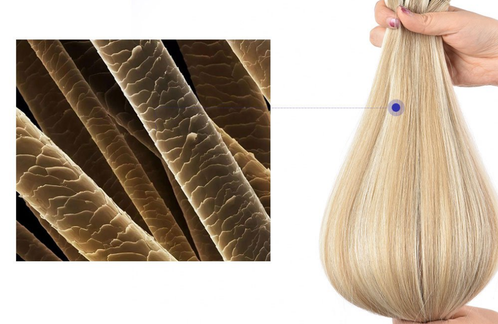 Hair comparison Cuticle aligned luxury hair